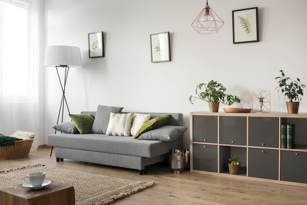 Cozy living room with clean floors and dust-free furniture