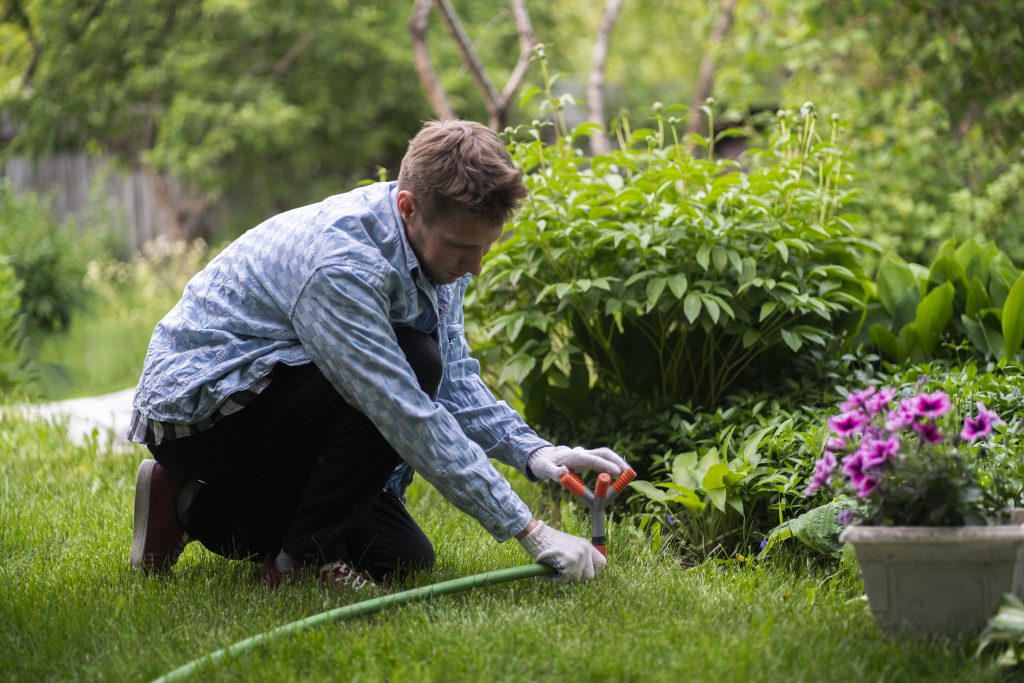 Man set up a water sprinkler to water the garden to ensure healthy plant growth