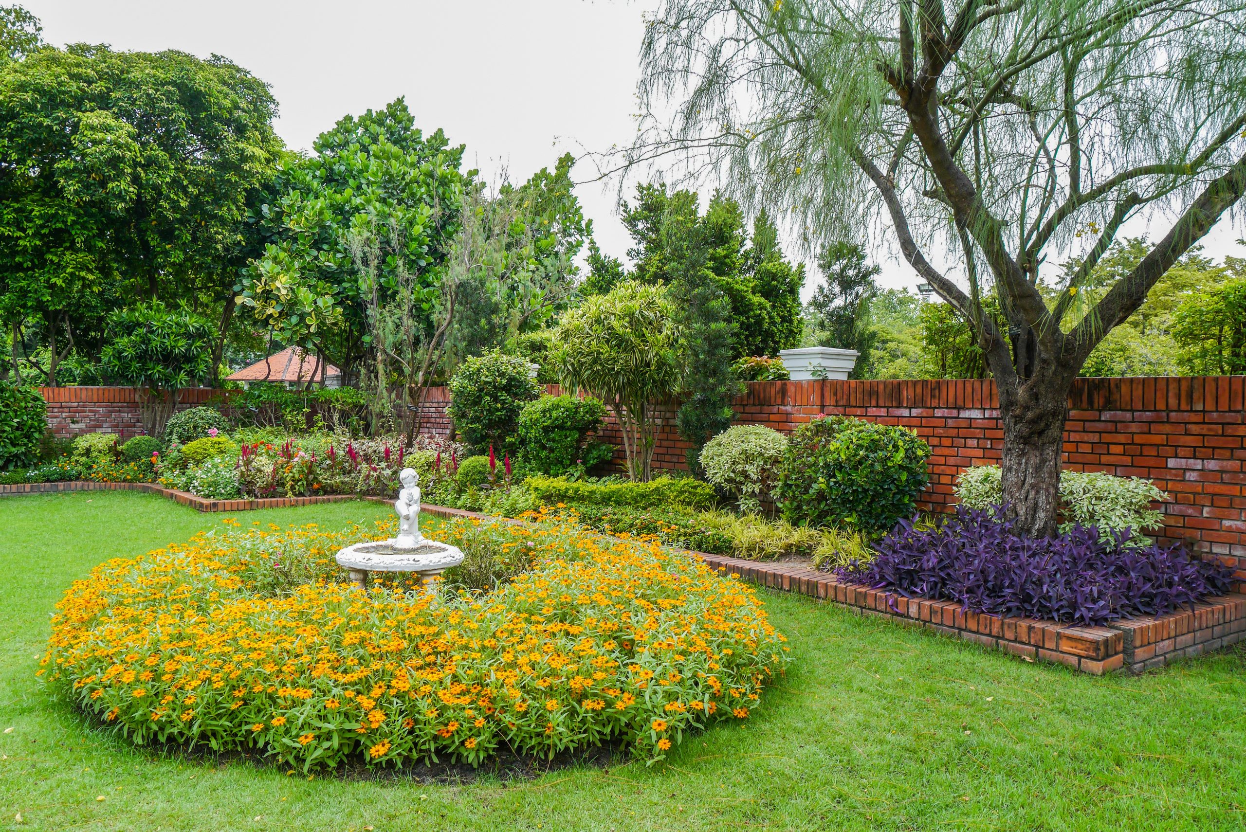 Lush green garden with a variety of plants flourishing under sunlight